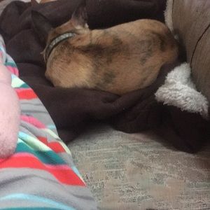 Meet your Posher, Leticia